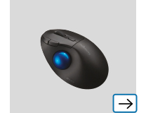 Mouse/Trackball